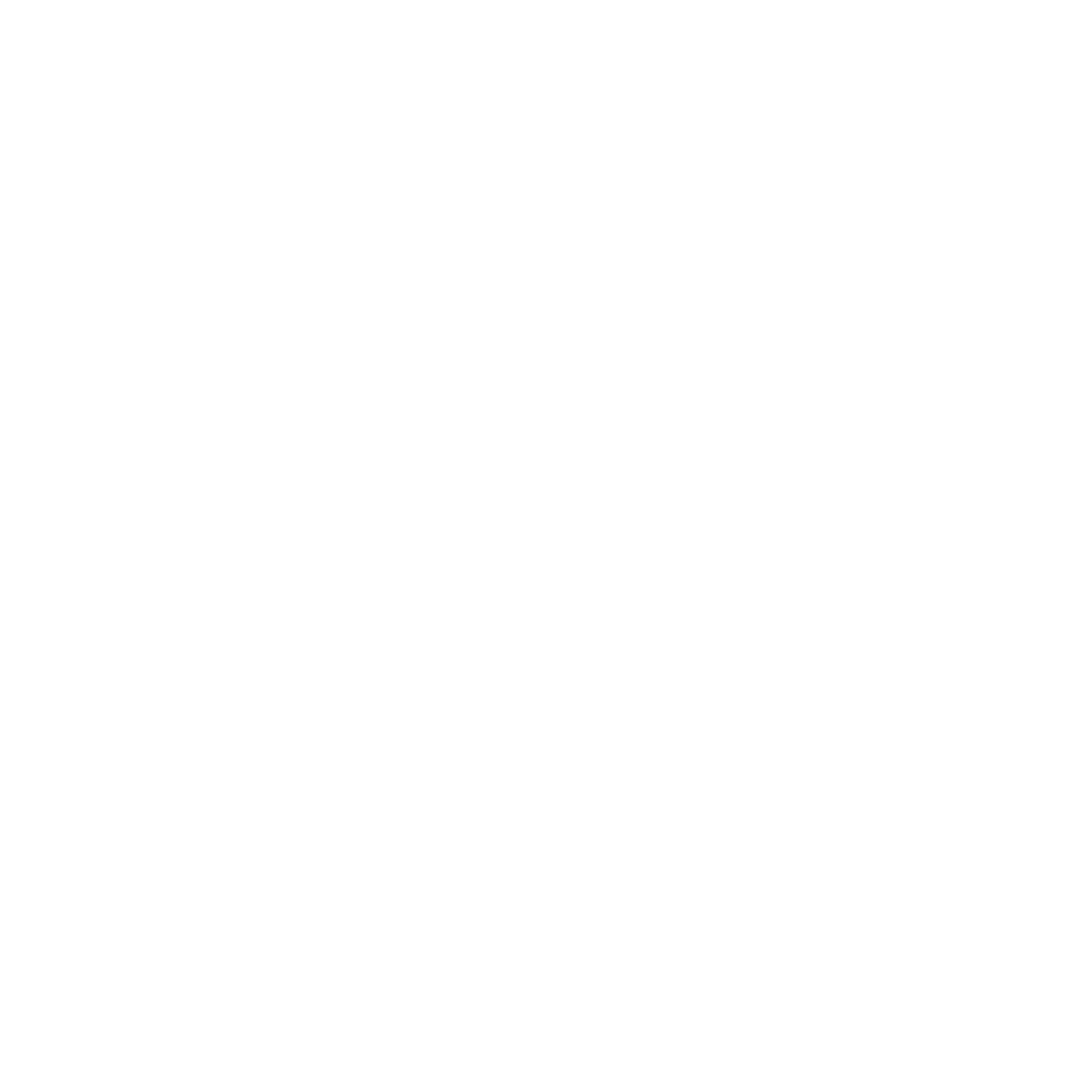 Logo rawpicture studio